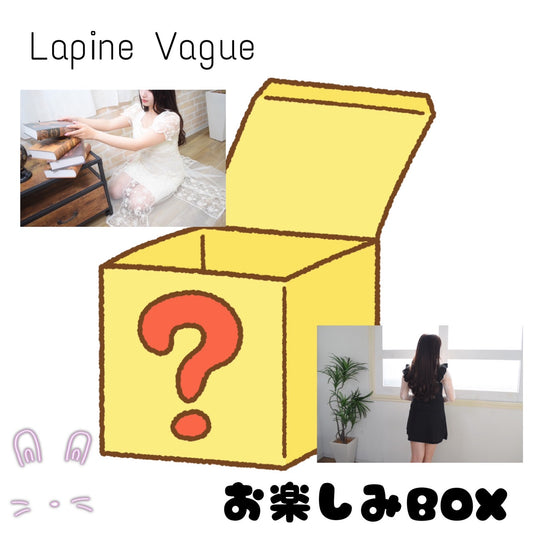 お楽しみBOX